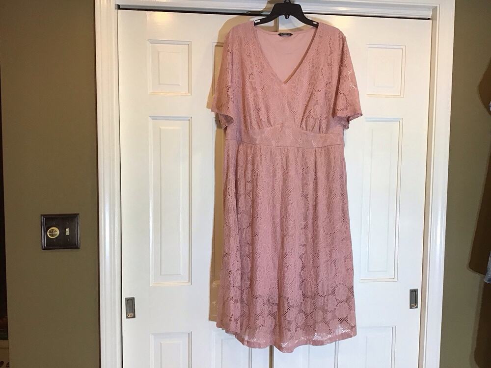 BloomChic Pink Lace A-Line Dress Sz 18-20 Romantic Feminine Cottagecore Event